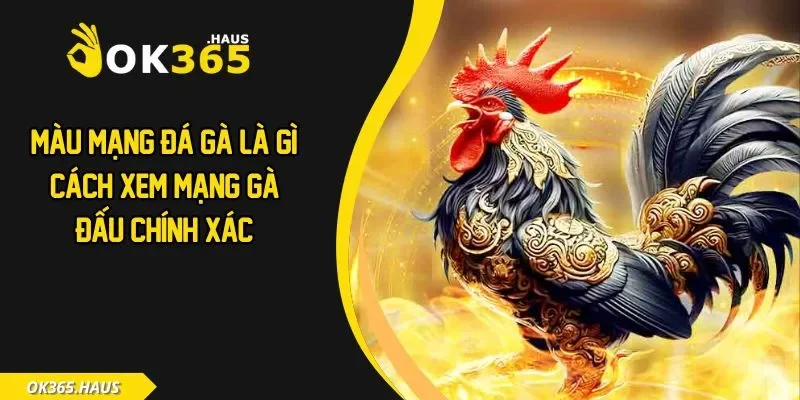 Màu Mạng Đá Gà Là Gì? Cách Xem Mạng Gà Đấu Chính Xác 2 Màu mạng đá gà