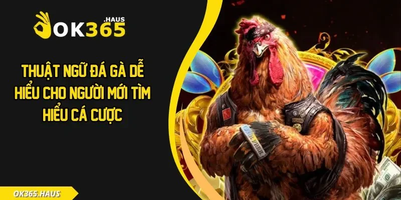 Thuật Ngữ Đá Gà Dễ Hiểu Cho Người Mới Tìm Hiểu Cá Cược 5 Thuật ngữ đá gà